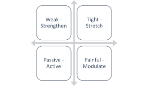 Table of clinically reasoned framework 