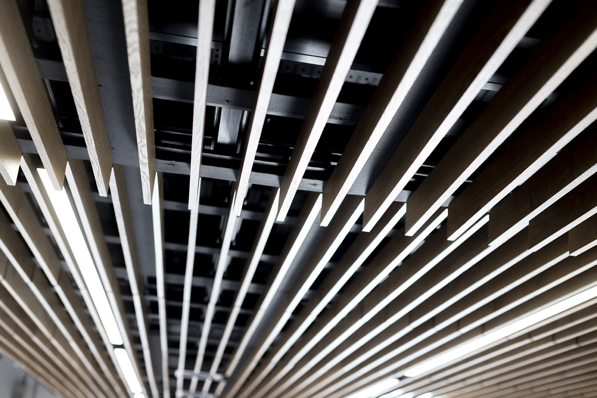 Integrated Rehabilitation Centre & Equipment - ceiling