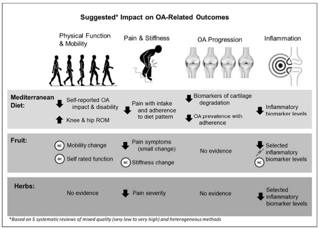 Image that shows the Suggested* impact of a Mediterranean Diet, Fruit, and or Herbs can have on OA-related Outcomes such as physical function and Mobility, Pain & Stiffness, OA progression and Inflammation.